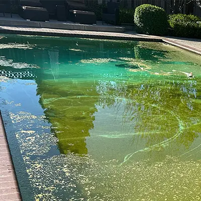 Green Pool Cleanups - Atlantis Pools Moraga