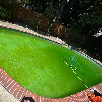 Green Pool - Atlantis Pools service